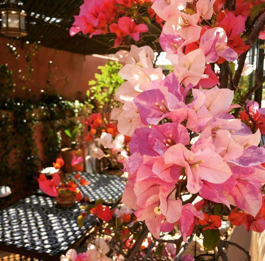 Riad Green Lotus Марракеш Экстерьер фото